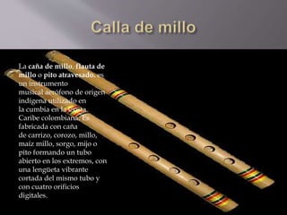  La caña de millo, flauta de millo o pito atravesado. es un 
instrumento musical aerófono de origen indígena utilizado en 
la cumbia en la Costa Caribe colombiana. Es fabricada con caña 
de carrizo, corozo, millo, maíz millo, sorgo, mijo o pito formando 
un tubo abierto en los extremos, con una lengüeta vibrante cortada 
del mismo tubo y con cuatro orificios digitales. 
La caña de millo, flauta de 
millo o pito atravesado. es 
un instrumento 
musical aerófono de origen 
indígena utilizado en 
la cumbia en la Costa 
Caribe colombiana. Es 
fabricada con caña 
de carrizo, corozo, millo, 
maíz millo, sorgo, mijo o 
pito formando un tubo 
abierto en los extremos, con 
una lengüeta vibrante 
cortada del mismo tubo y 
con cuatro orificios 
digitales. 
 