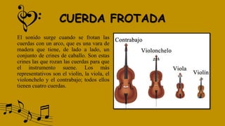 CUERDA FROTADA
El sonido surge cuando se frotan las
cuerdas con un arco, que es una vara de
madera que tiene, de lado a lado, un
conjunto de crines de caballo. Son estas
crines las que rozan las cuerdas para que
el instrumento suene. Los más
representativos son el violín, la viola, el
violonchelo y el contrabajo; todos ellos
tienen cuatro cuerdas.
 