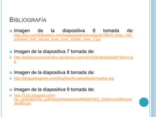 BIBLIOGRAFÍA 
 Imagen de la diapositiva 6 tomada de: 
http://pics.worldofjudaica.net/images/products/original/38819_large...