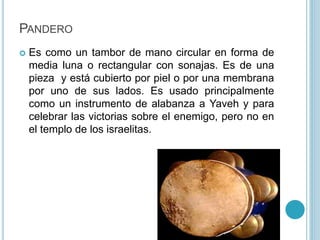 PANDERO 
 Es como un tambor de mano circular en forma de 
media luna o rectangular con sonajas. Es de una 
pieza y está c...