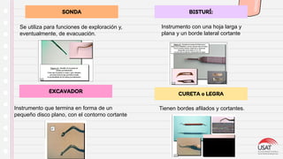 SONDA BISTURÍ:
EXCAVADOR CURETA o LEGRA
Instrumento que termina en forma de un
pequeño disco plano, con el contorno cortante
Tienen bordes afilados y cortantes.
Instrumento con una hoja larga y
plana y un borde lateral cortante
Se utiliza para funciones de exploración y,
eventualmente, de evacuación.
 