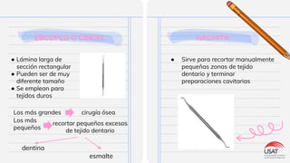 ESCOPLO O CINCEL
● Lámina larga de
sección rectangular
● Pueden ser de muy
diferente tamaño
● Se emplean para
tejidos duros
Los más grandes
Los más
pequeños
cirugía ósea
recortar pequeños excesos
de tejido dentario
dentina
esmalte
HACHITA
● Sirve para recortar manualmente
pequeñas zonas de tejido
dentario y terminar
preparaciones cavitarias
 