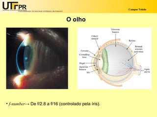 Campus Toledo
      UNIVERSIDADE TECNOLÓGICA FEDERAL DO PARANÁ




                                                   O olho




• f-number→ De f/2.8 a f/16 (controlado pela íris).
 