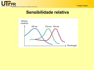 Campus Toledo
UNIVERSIDADE TECNOLÓGICA FEDERAL DO PARANÁ




                        Sensibilidade relativa
 