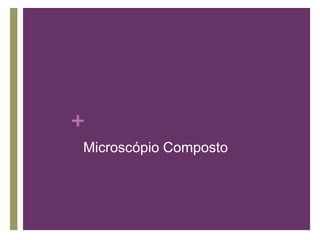 +
Microscópio Composto
 