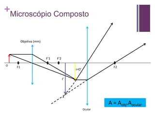+
Microscópio Composto
F1
F’1
F2
F’2
O
i=O’
I’
Objetiva (mm)
Ocular
A = Aobj.Aocular
 