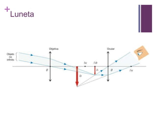 +
Luneta
 