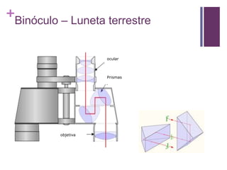 +
Binóculo – Luneta terrestre
objetiva
ocular
Prismas
 
