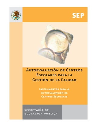 INSTRUMENTOS PARA LA AUTOEVALUACIÓN | PDF