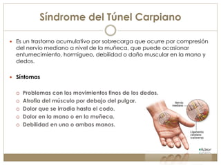 Síndrome del Túnel Carpiano

 Es un trastorno acumulativo por sobrecarga que ocurre por compresión
  del nervio mediano a nivel de la muñeca, que puede ocasionar
  entumecimiento, hormigueo, debilidad o daño muscular en la mano y
  dedos.

 Síntomas


     Problemas con los movimientos finos de los dedos.
     Atrofia del músculo por debajo del pulgar.
     Dolor que se irradia hasta el codo.
     Dolor en la mano o en la muñeca.
     Debilidad en una o ambas manos.
 