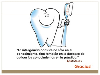 “La inteligencia consiste no sólo en el
conocimiento, sino también en la destreza de
aplicar los conocimientos en la práctica.”
                                   Aristóteles
                                       Gracias!
 