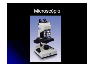 Microscópio
 