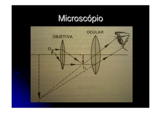 Microscópio
 