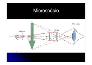 Microscópio
 