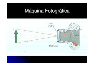 Máquina Fotográfica
 