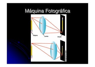 Máquina Fotográfica
 