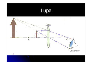 Lupa
 