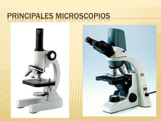 PRINCIPALES MICROSCOPIOS
 