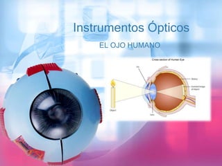 Instrumentos Ópticos
EL OJO HUMANO
 