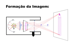 Formação da Imagem:
F F’
C C’
 