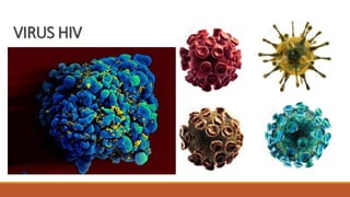 VIRUS HIV
 
