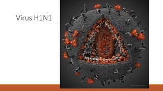Virus H1N1
 