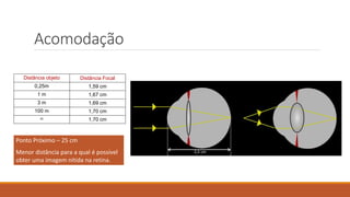 Acomodação
Distância objeto Distância Focal
0,25m 1,59 cm
1 m 1,67 cm
3 m 1,69 cm
100 m 1,70 cm
 1,70 cm
2,5 cm
Ponto Próximo – 25 cm
Menor distância para a qual é possível
obter uma imagem nítida na retina.
 