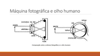 Máquina fotográfica e olho humano
 