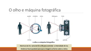 O olho e máquina fotográfica
Abertura da íris- varia de f/2 a f/8 para controlar a intensidade de luz.
Distância focal ajustável para que a imagem se forme sobre a retina
 