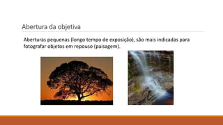 Abertura da objetiva
Aberturas pequenas (longo tempo de exposição), são mais indicadas para
fotografar objetos em repouso (paisagem).
 