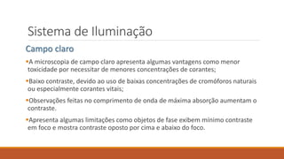 Sistema de Iluminação
Campo claro
A microscopia de campo claro apresenta algumas vantagens como menor
toxicidade por necessitar de menores concentrações de corantes;
Baixo contraste, devido ao uso de baixas concentrações de cromóforos naturais
ou especialmente corantes vitais;
Observações feitas no comprimento de onda de máxima absorção aumentam o
contraste.
Apresenta algumas limitações como objetos de fase exibem mínimo contraste
em foco e mostra contraste oposto por cima e abaixo do foco.
 
