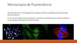 Microscopia de fluorescência
Permite observar microorganismos capazes de fixar substâncias fluorescentes
(fluorocromos).
A luz UV, ao incidir nessas partículas, provoca a emissão de luz visível e observa-
se as células brilhando em fundo escuro.
 