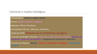 Colorantes e reações histológicas
Hematoxilina: Núcleo e regiões ácidas.
Eosina: Regiões básicas e colágeno.
Argentas: Fibras reticulares.
Hematoxilina férrica: Músculo, eritrocitos.
Ácido de Schiff: Moléculas ricas en carbohidratos e glucogenio.
Corantes de Wright e Giemsa: Eritrocitos e grânulos de eosinófilos; Núcleos de
leucócitos e grânulos de basófilos; Citoplasma de monocitos e linfocitos.
Tricroma de Masson: Núcleos; Músculo, queratina e citoplasma; Mucinógeno,
colágena.
 