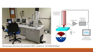 Microscópio eletrônico de varredura MEV, modelo XL -30-ESEM (Phillips)
 