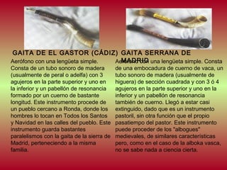 GAITA DE EL GASTOR (CÁDIZ) GAITA SERRANA DE
MADRID
Aerófono con una lengüeta simple.
Aerófono con una lengüeta simple. Consta
Consta de un tubo sonoro de madera
(usualmente de peral o adelfa) con 3
agujeros en la parte superior y uno en
la inferior y un pabellón de resonancia
formado por un cuerno de bastante
longitud. Este instrumento procede de
un pueblo cercano a Ronda, donde los
hombres lo tocan en Todos los Santos
y Navidad en las calles del pueblo. Este
instrumento guarda bastantes
paralelismos con la gaita de la sierra de
Madrid, perteneciendo a la misma
familia.

de una embocadura de cuerno de vaca, un
tubo sonoro de madera (usualmente de
higuera) de sección cuadrada y con 3 ó 4
agujeros en la parte superior y uno en la
inferior y un pabellón de resonancia
también de cuerno. Llegó a estar casi
extinguido, dado que es un instrumento
pastoril, sin otra función que el propio
pasatiempo del pastor. Este instrumento
puede proceder de los "albogues"
medievales, de similares características
pero, como en el caso de la alboka vasca,
no se sabe nada a ciencia cierta.

 