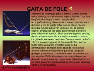 GAITA DE FOLE

GAITA SANABRESA

Aerófono de lengüetas doble y simple. Consta de dos
tubos sonoros, uno es un tubo largo u "hornión" con una
lengüeta simple que da una nota pedal de
acompañamiento y el otro es el puntero, parecido a una
dulzaina y con lengüeta doble que es el que hace la
melodía. Ambos tubos van unidos al fol, de piel de
cabrito, empleando las patas para colocar el soplete
para inflarlo y el hornión. El fol sirve de depósito de aire,
dando al instrumento el característico sonido continuo.
La gaita de fole se encuentra en Zamora, zonas de León
y la comarca portuguesa de Tras-os-Montes, siendo
todas estas comarcas limítrofes entre sí. La
construcción y afinación de la gaita de fole es más
arcaica y menos evolucionada que la de las gaitas
gallegas y asturianas, predominando el modo menor en
sus tonadas. Están afinadas en tonos más bajos y el
depósito de aire suele ser mayor pues sobre todo en la
comarca zamorana de Sanabria es común que el gaitero
cante a la vez que toca.

 