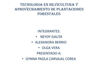 TECNOLOGIA EN SILVICULTURA Y
APROVECHAMIENTO DE PLANTACIONES
FORESTALES

INTEGRANTES:
• NEYDY GAUTA
• ALEXANDRA BERRIO
• OLGA VERA
PRESENTADO A:
• GYNNA PAOLA CARVAJAL COREA

 