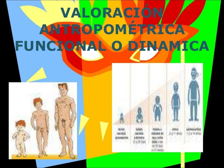 Resultado de imagen para evaluacion antropometrica dibujos