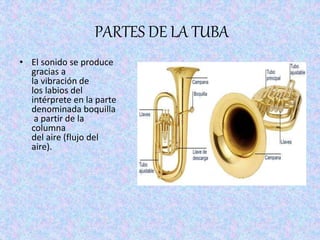 PARTES DE LA TUBA
• El sonido se produce
gracias a
la vibración de
los labios del
intérprete en la parte
denominada boquilla
a partir de la
columna
del aire (flujo del
aire).
 