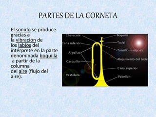 PARTES DE LA CORNETA
El sonido se produce
gracias a
la vibración de
los labios del
intérprete en la parte
denominada boquilla
a partir de la
columna
del aire (flujo del
aire).
 