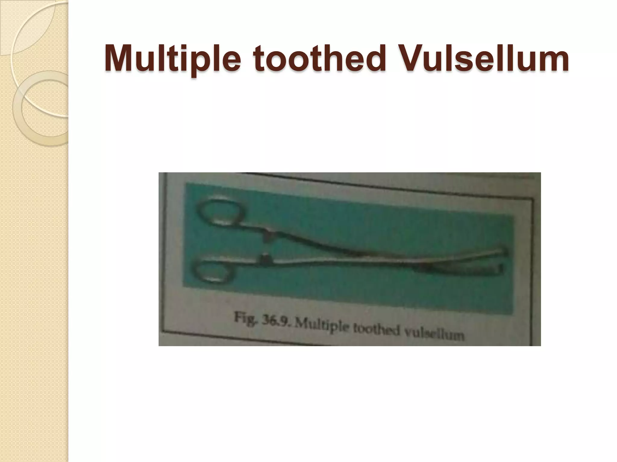 Multiple toothed Vulsellum
 