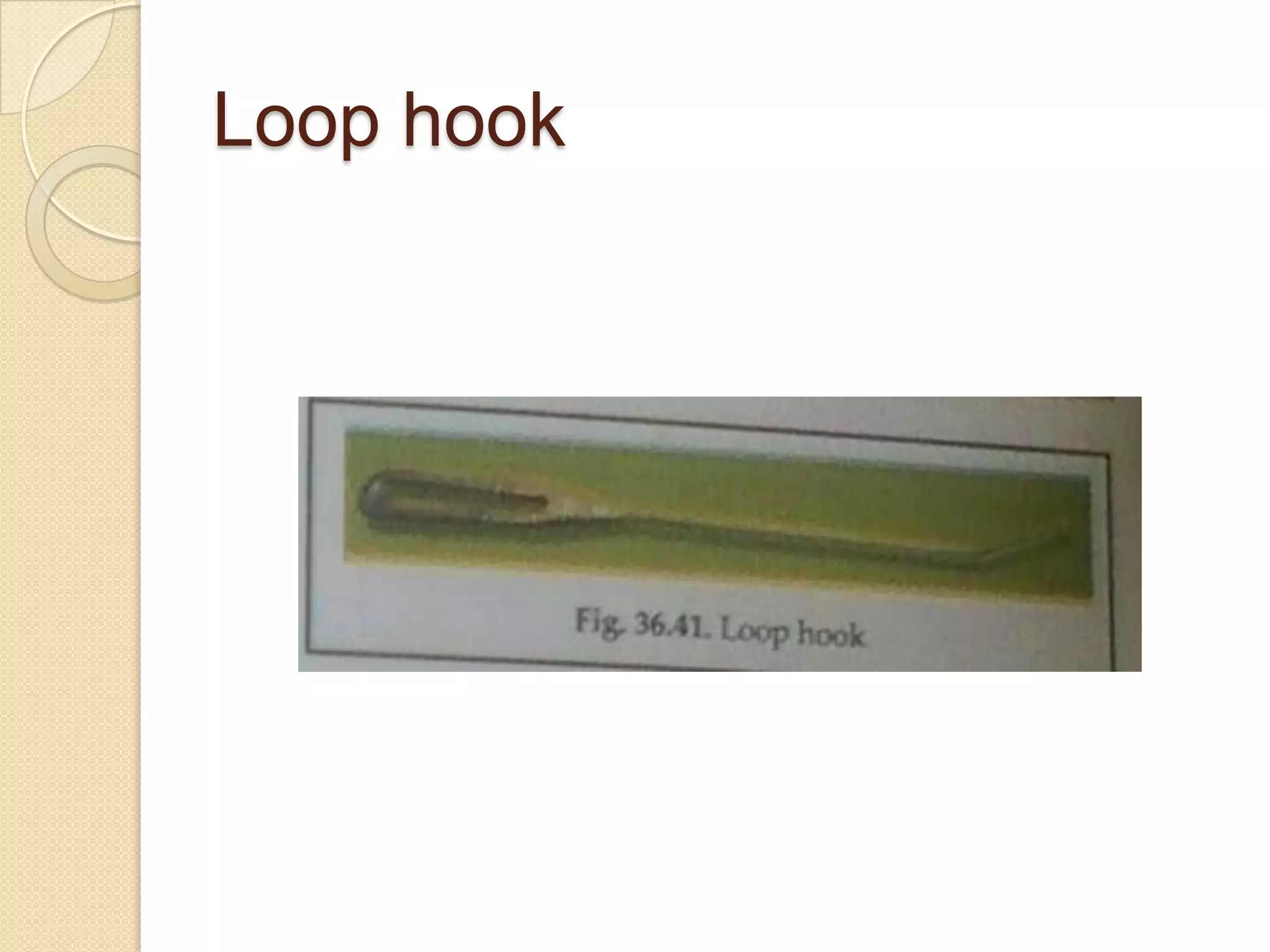 Loop hook
 