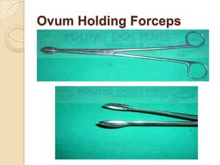 Ovum Holding Forceps
 
