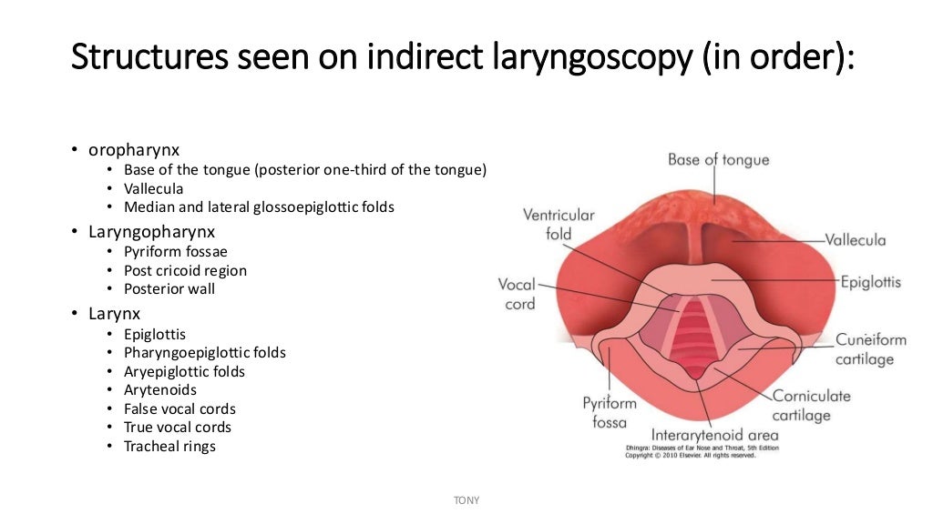 instruments-ent-ppt-with-uses-otorhinolaryngology-ent