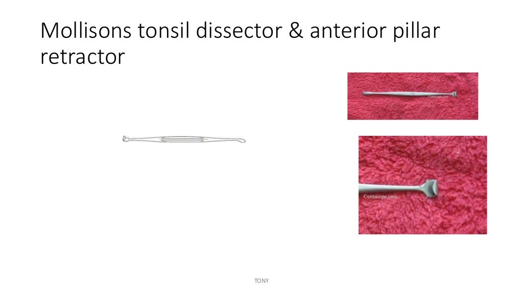 Instruments ent ppt with uses otorhinolaryngology ent