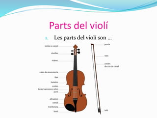 Parts del violí
1. Les parts del violí son …
 