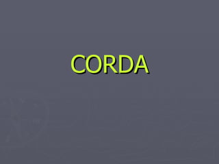 CORDA 
