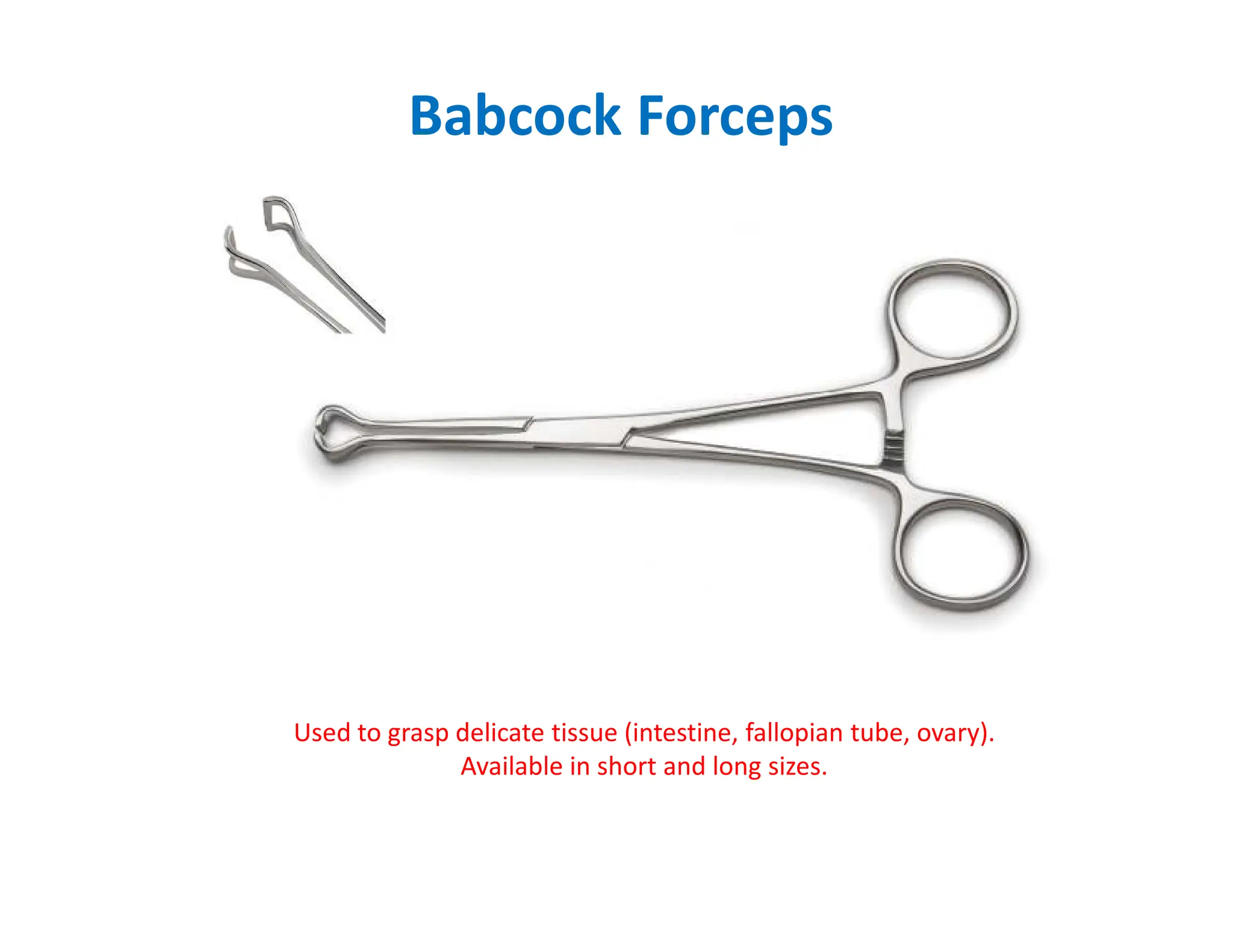 Babcock Forceps
Used to grasp delicate tissue (intestine, fallopian tube, ovary).
Available in short and long sizes.
 