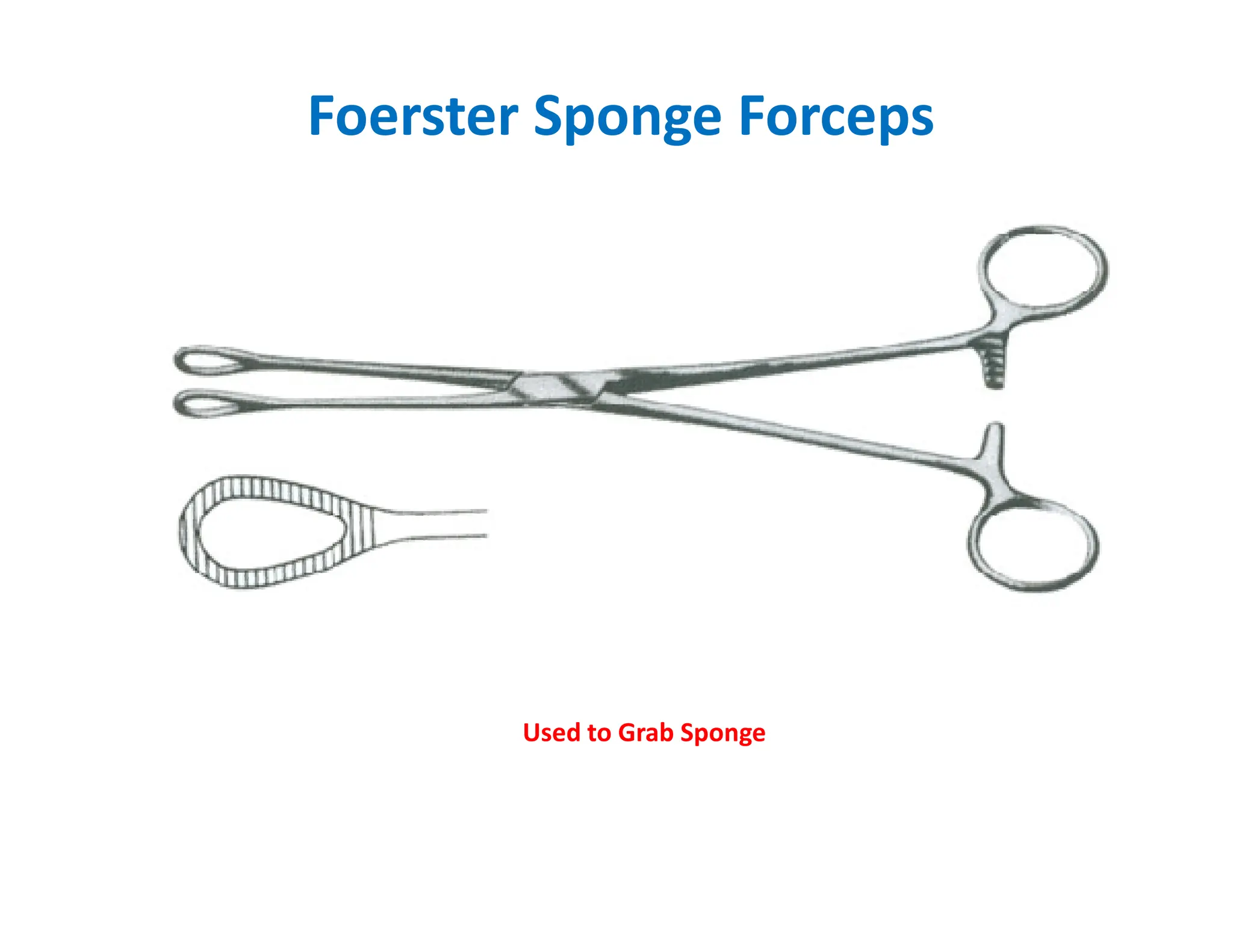 Foerster Sponge Forceps
Used to Grab Sponge
 
