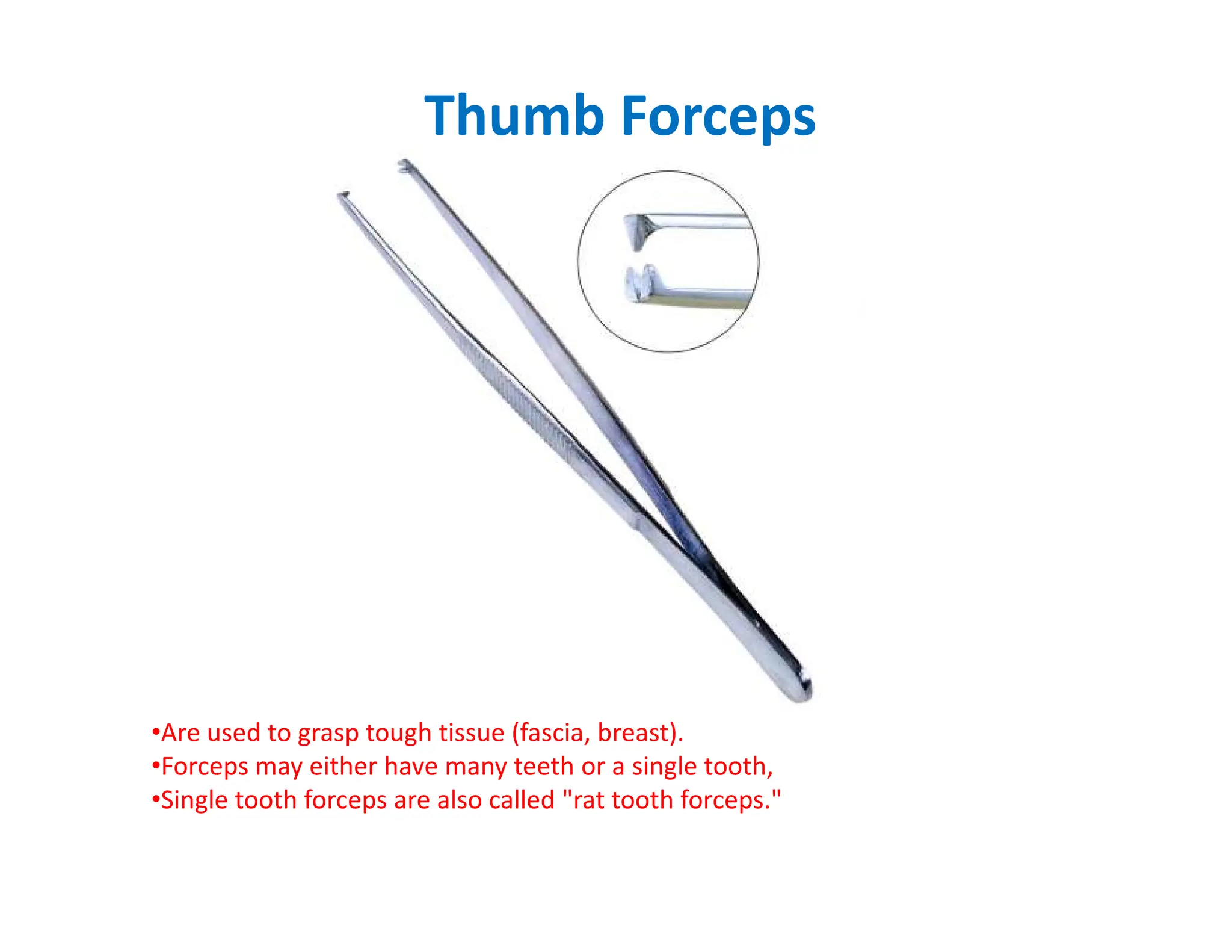 Thumb Forceps
•Are used to grasp tough tissue (fascia, breast).
•Forceps may either have many teeth or a single tooth,
•Single tooth forceps are also called rat tooth forceps.
 